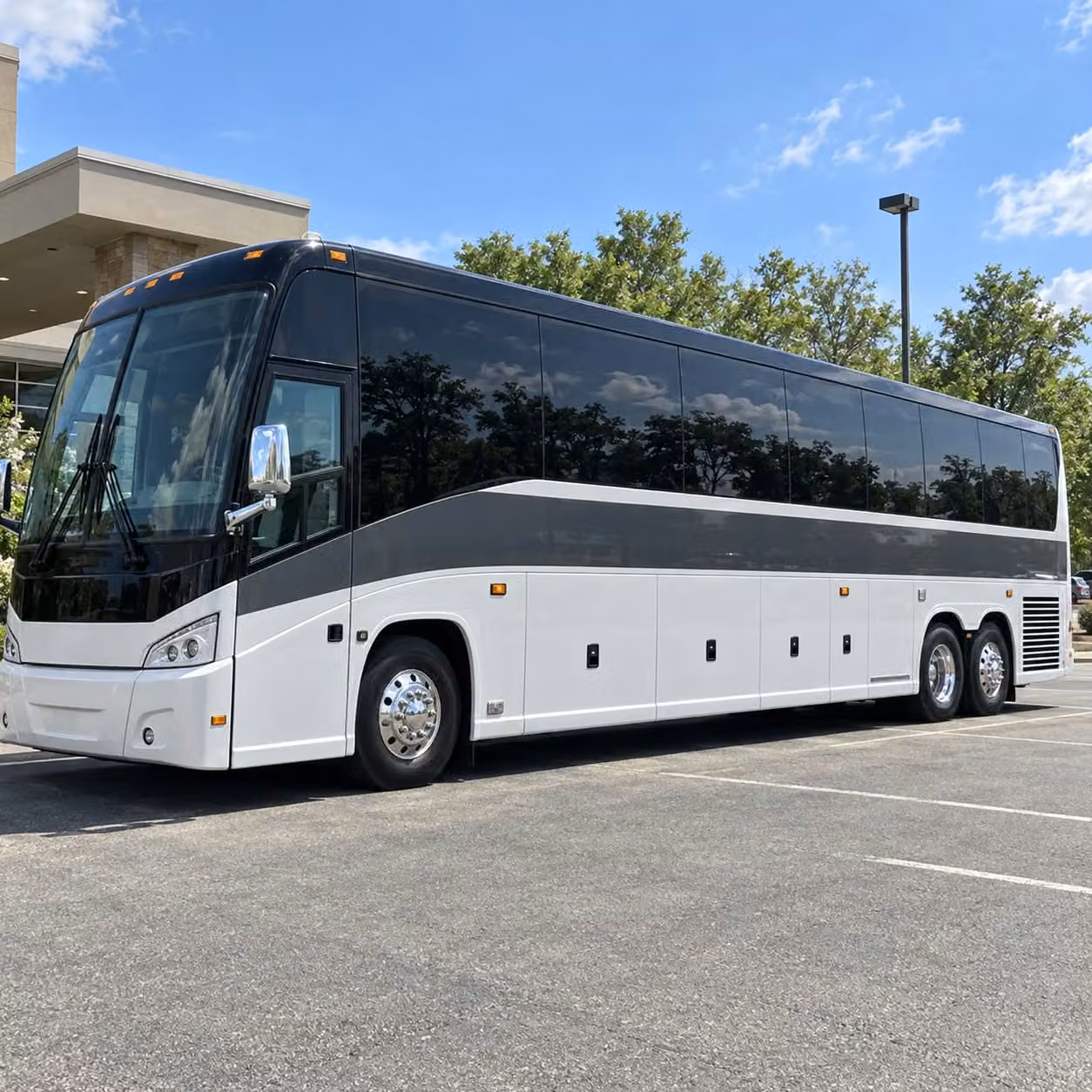 charter buses to bellevue s best science and nature destinations