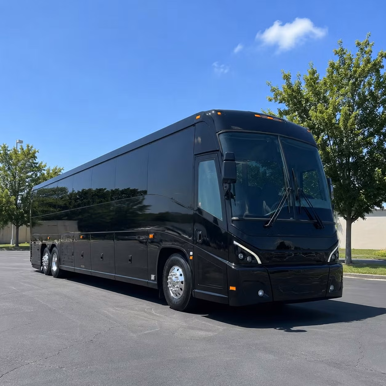 cruise transfers from bellevue to the port of seattle